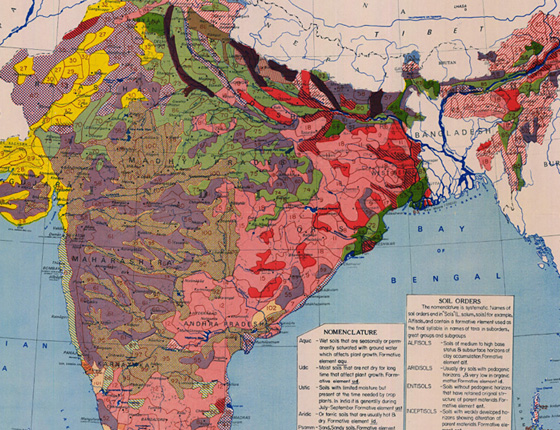 Soil in India