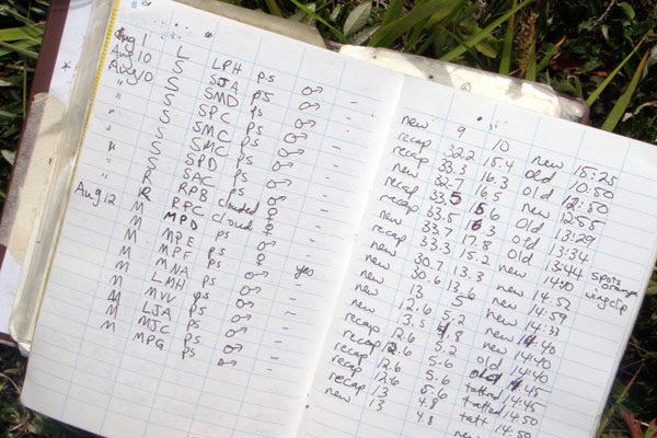 A biologist's butterfly diary