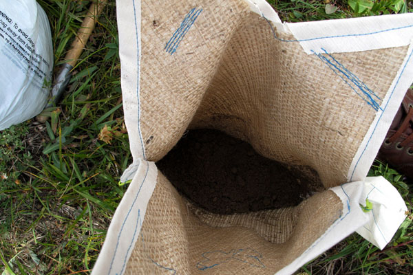 Preparing backpack meadows