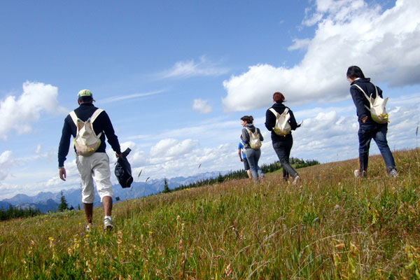 First group attracting butterflies