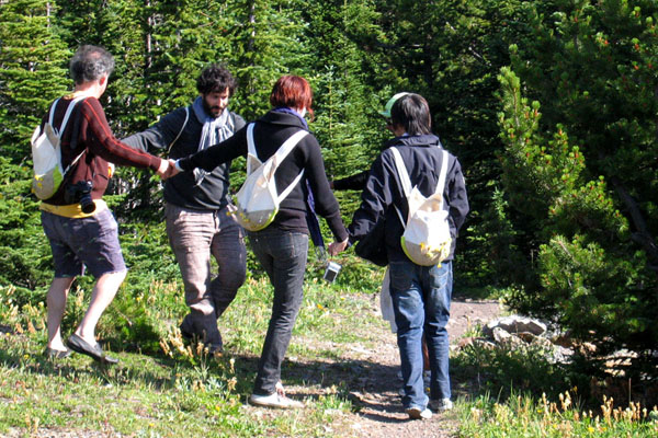 Approaching butterflies, by different poses, movements and formations